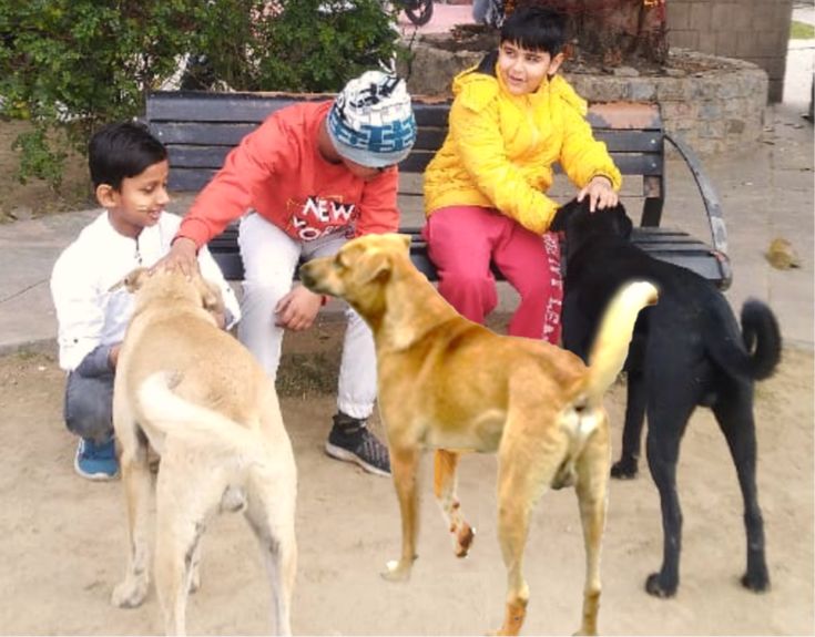 18. Kutta nahi katega Workshop